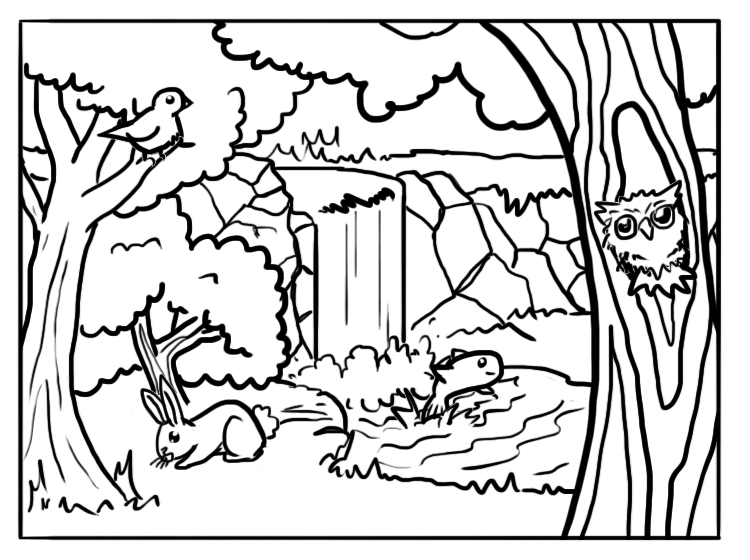 750x560 Forest Coloring Sheets