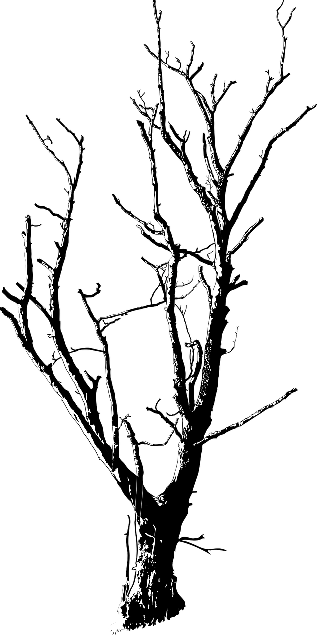 640x1280 Black And White, Branches, Deadwood, Forest, Landscape