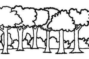 300x200 forest clipart black and white new forest clipart black and white