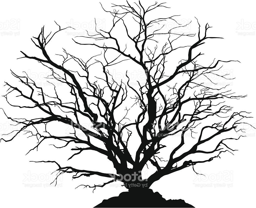 1024x834 Huge Collection Of 'dead Forest Silhouette' Download More Than