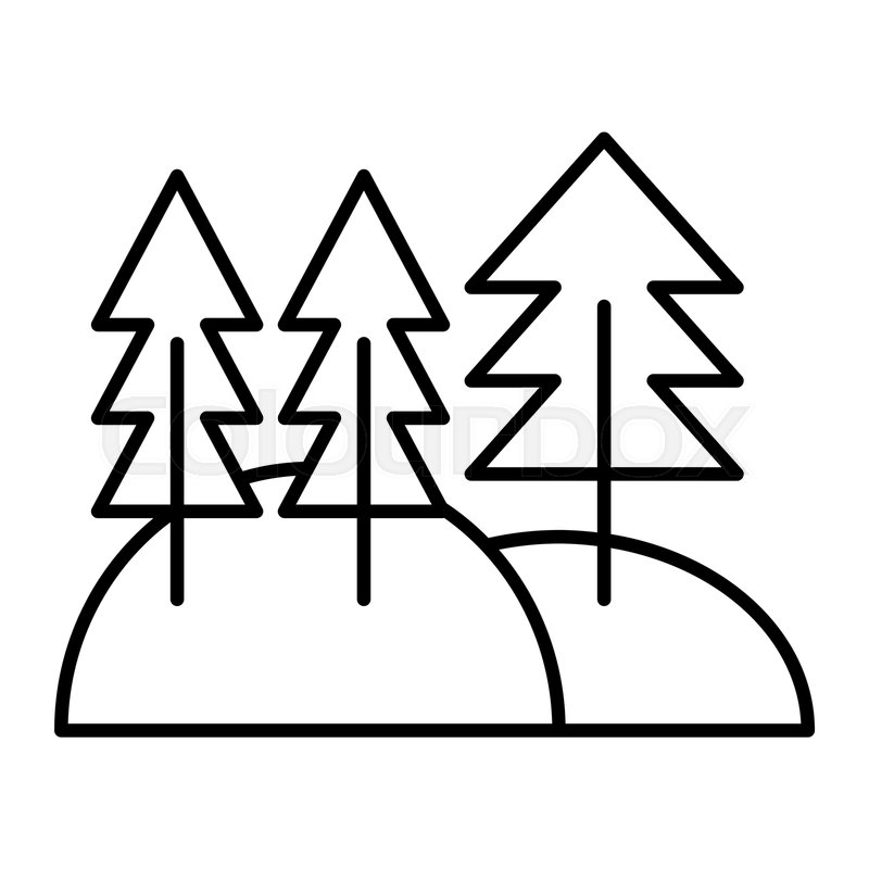 800x800 Pine Forest Thin Line Icon Pine Woods Stock Vector Colourbox