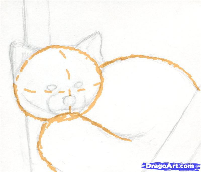 800x684 How To Draw A Red Panda, Step
