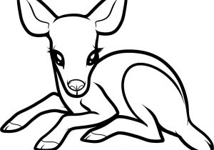 300x210 Simple Forest Drawing With Animals Learn How To Draw Trees