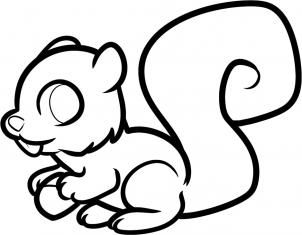 302x235 how to draw a squirrel for kids step adopt a grandparent ideas