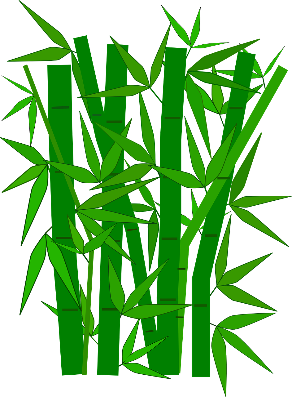 943x1280 Collection Of Free Bamboo Drawing Forest Download On Ui Ex