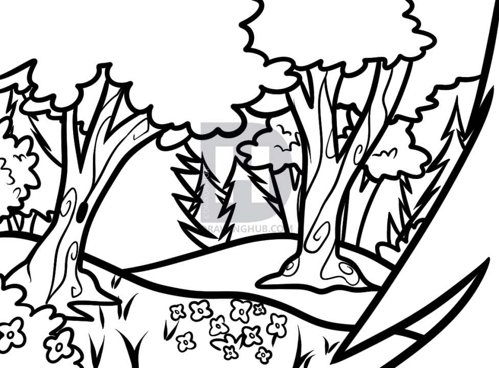 976x720 How To Draw Forests, Forest Backgrounds, Step