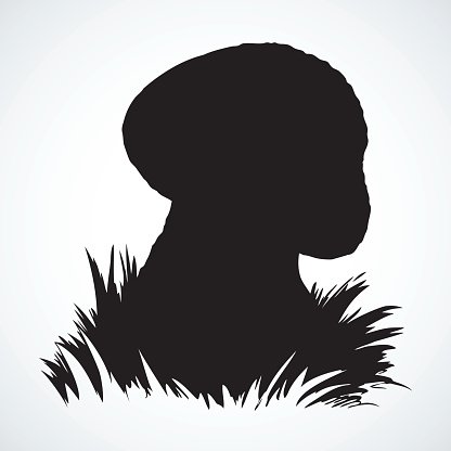 416x416 Cep On Forest Vector Drawing Premium Clipart