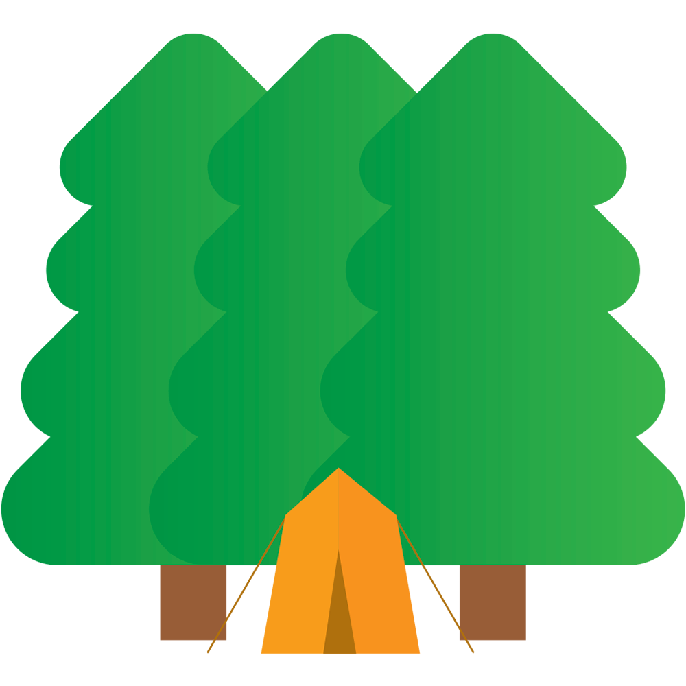 1000x1000 Drawing Forests Boy Frames Illustrations Hd Images Photo