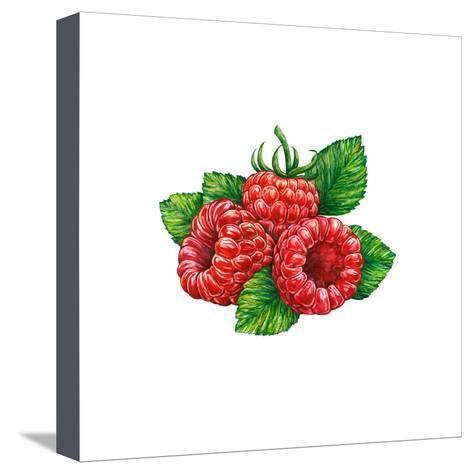 473x474 Watercolor Drawing Of Forest Raspberry Posters