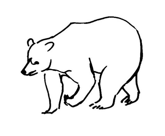 530x438 Forest Animals Colorings Drawing And Crafts