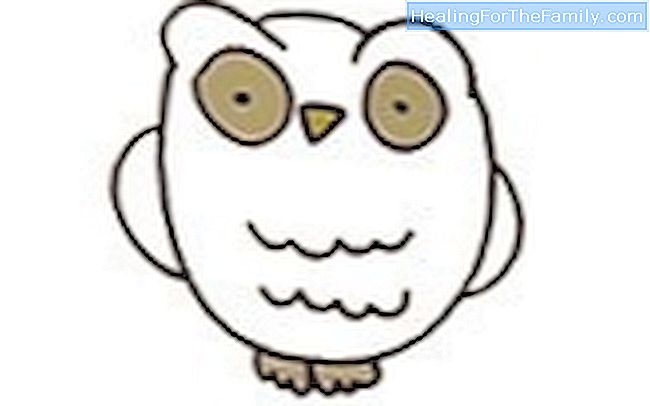 650x406 How To Draw Forest Animals Step