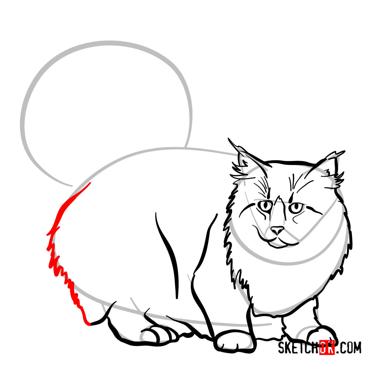 1200x1200 how to draw the norwegian forest cat
