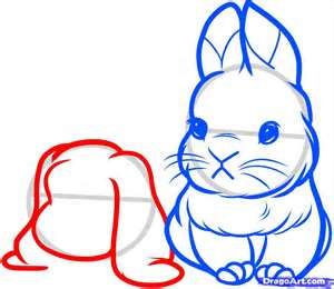 300x260 Image Detail For How To Draw Baby Rabbits, Baby Rabbits, Step