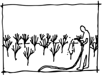 200x150 Milliontrees Nyc