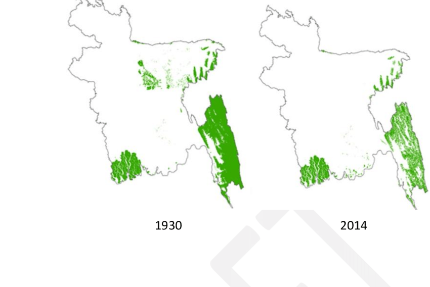 850x568 Historical Decline In The Modhupur Area Sal Forests Colours