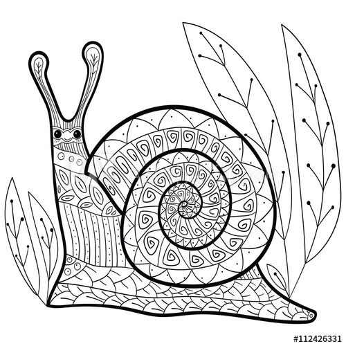 500x500 cute snail adult coloring book page happy smiling snail in forest