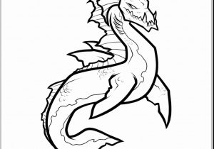 300x210 Sea Creatures Images In Pencil Asy To Draw Still Life