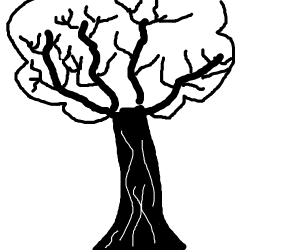 300x250 Forest Scene