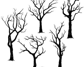 340x270 Tree Silhouettes Clipart Clip Art, Family Tree Clipart Clip Art