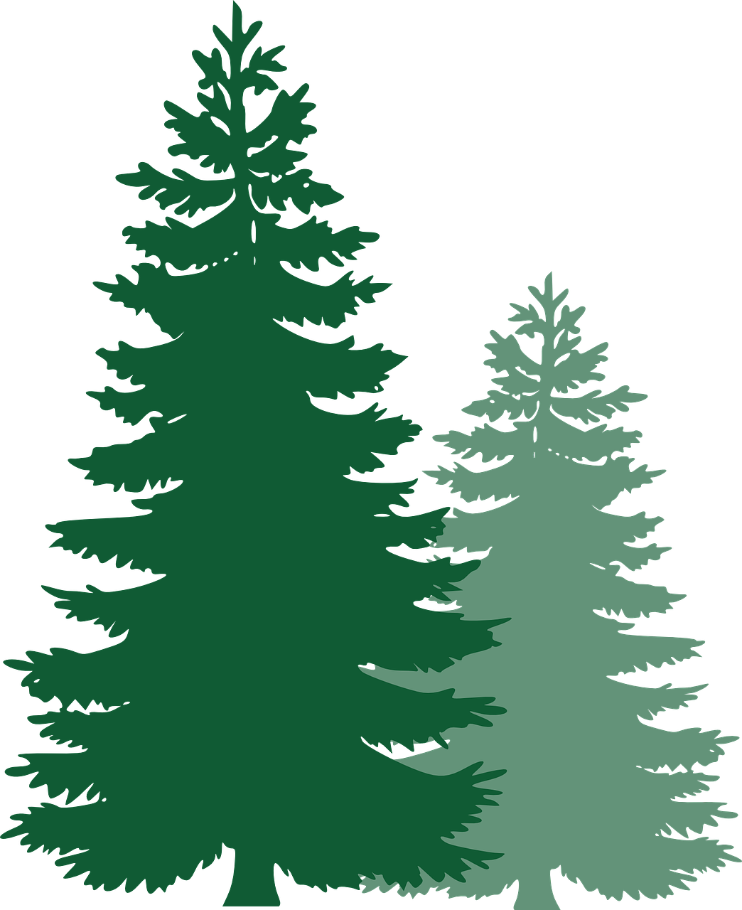 1044x1280 Forest Tree Transparent Png Clipart Free Download