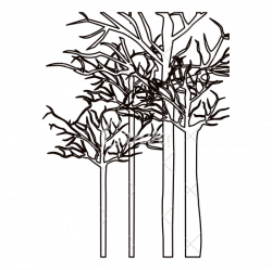 250x249 Growth Drawing Forest, Picture