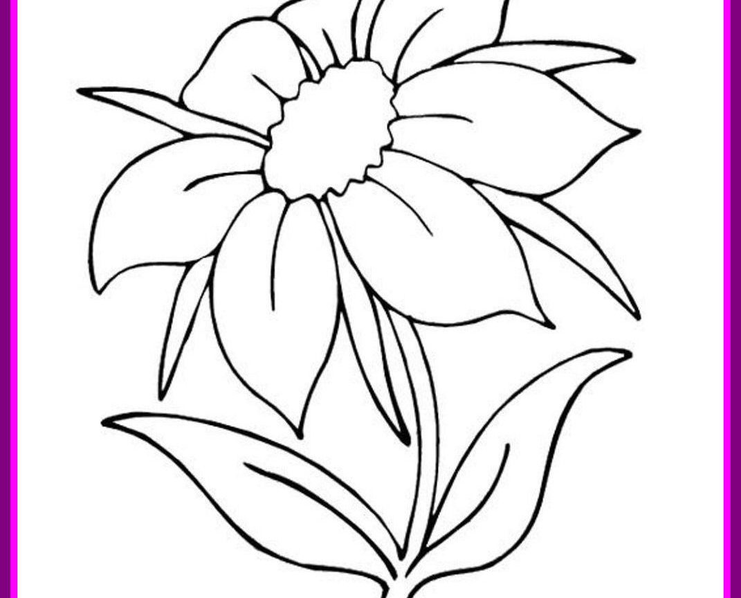 1071x864 Tropical Rainforest Plants Drawings Econhomes Com Phenomenal