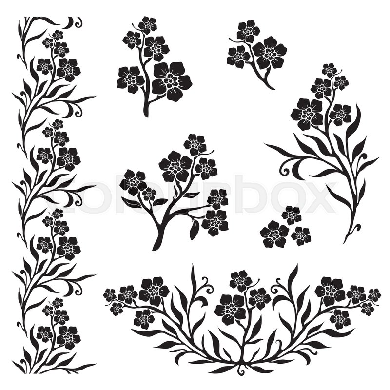 800x800 Forget Me Not