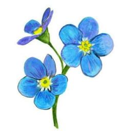 256x256 hamilton one shots