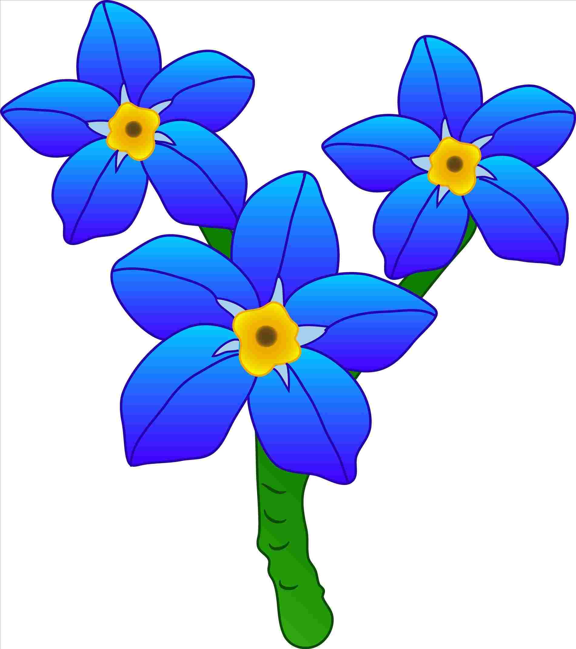 1900x2140 Forget Me Not Flower Drawings