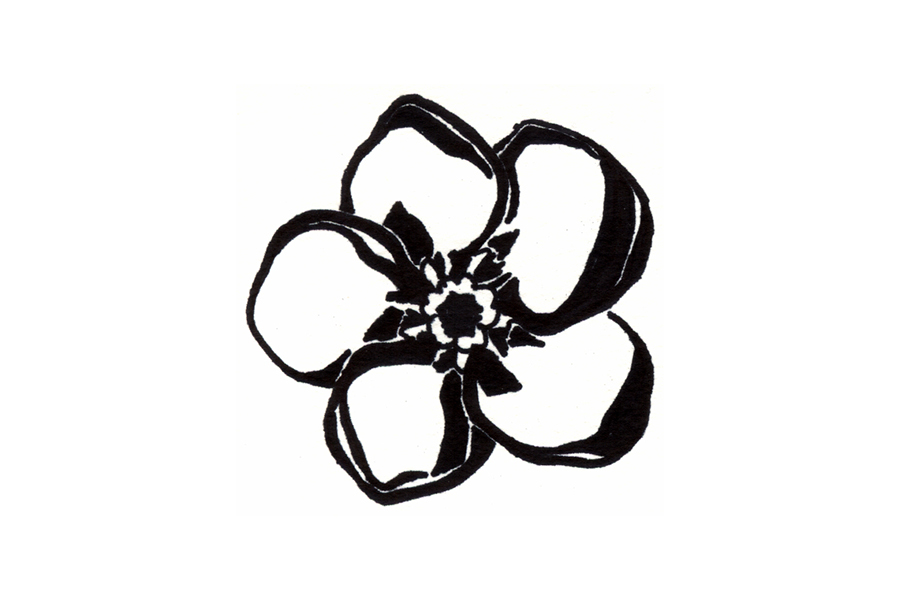 900x600 Forget Me Not Flower Clip Art