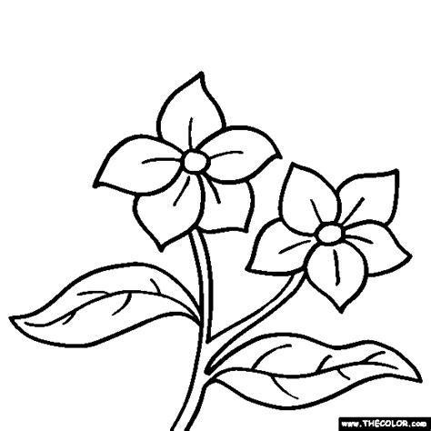 474x474 Forget Me Not Flower Drawing At Getdrawings Com Free