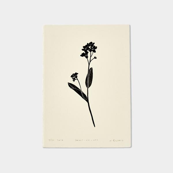 600x600 Forget Me Not Lino Print