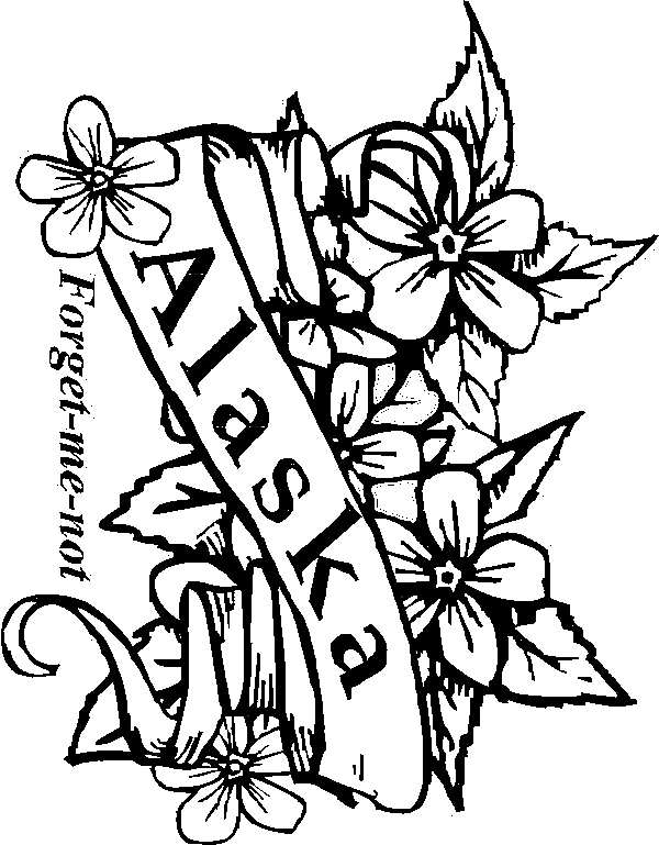 600x769 State Flowers Coloring Pages For Kids