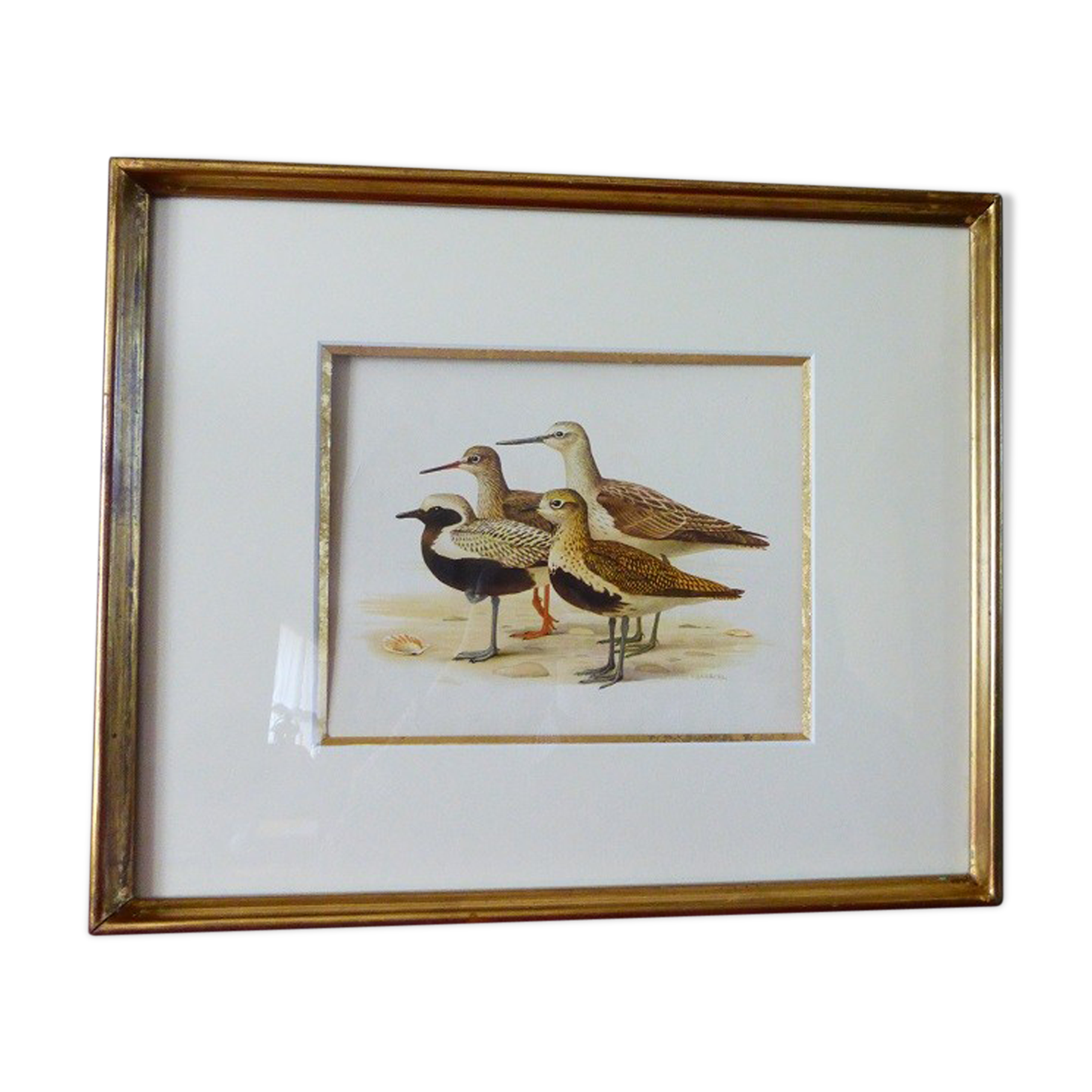 1457x1457 Enhanced Drawing Former Collection Hepatior