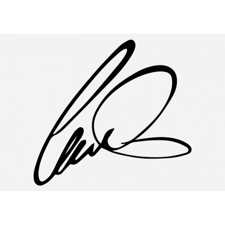 750x750 Lewis Signature Formula Sticker