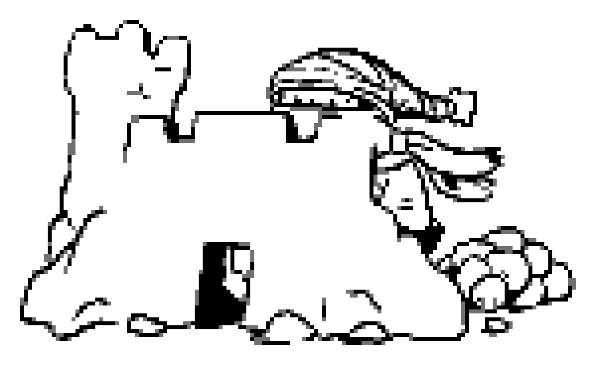 1200x736 Tropical Cookie's Profile