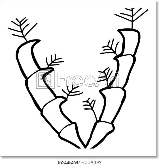 561x581 Free Art Print Of Graptolite Fossil Outline Ordovician