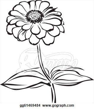 318x370 Pix For Gt Zinnia Flower Drawing Working In A Series Studies