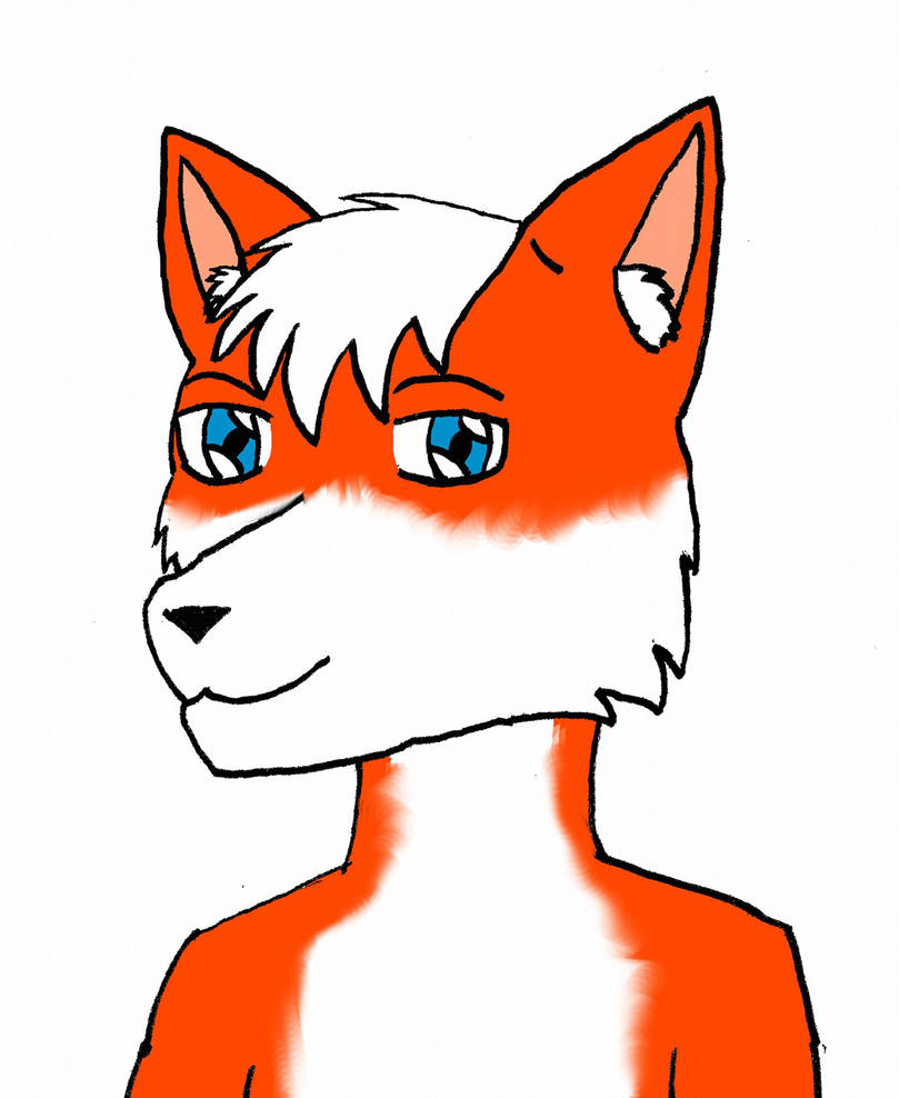 809x988 Random Fox