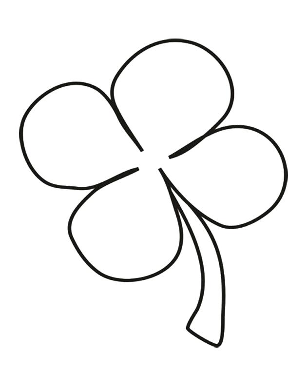 630x767 Four Leaf Clover Color