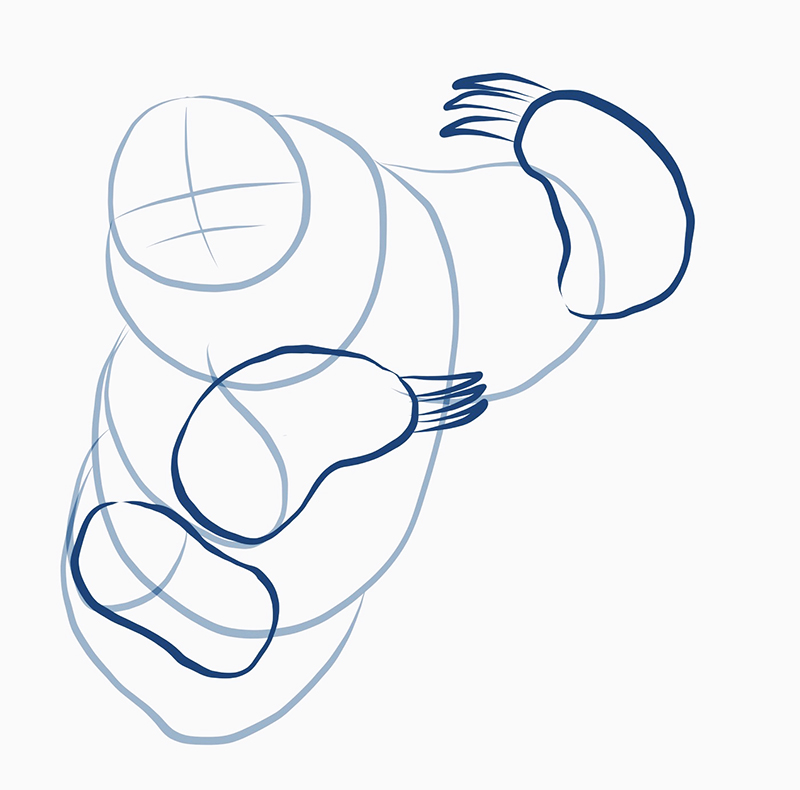 800x790 How To Draw A Sloth