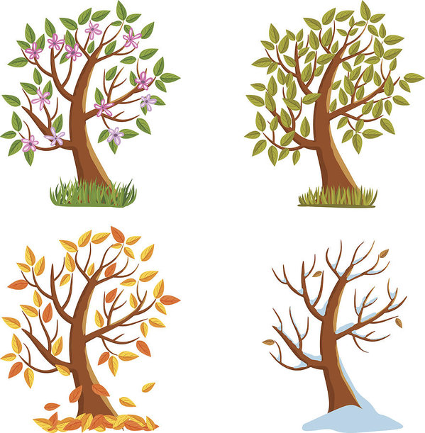 599x611 Four Seasons Tree Art Print