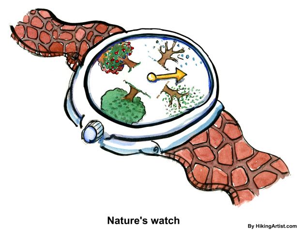 620x475 Color Drawing Of A Watch With The Four Seasons On It Eco Comics
