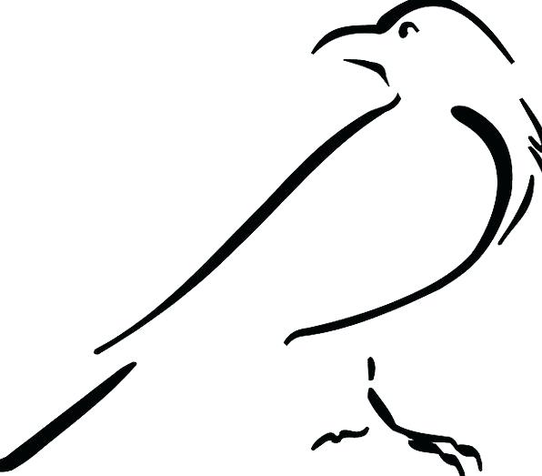 596x523 bird drawings winging free bird drawing simple bird outline drawing