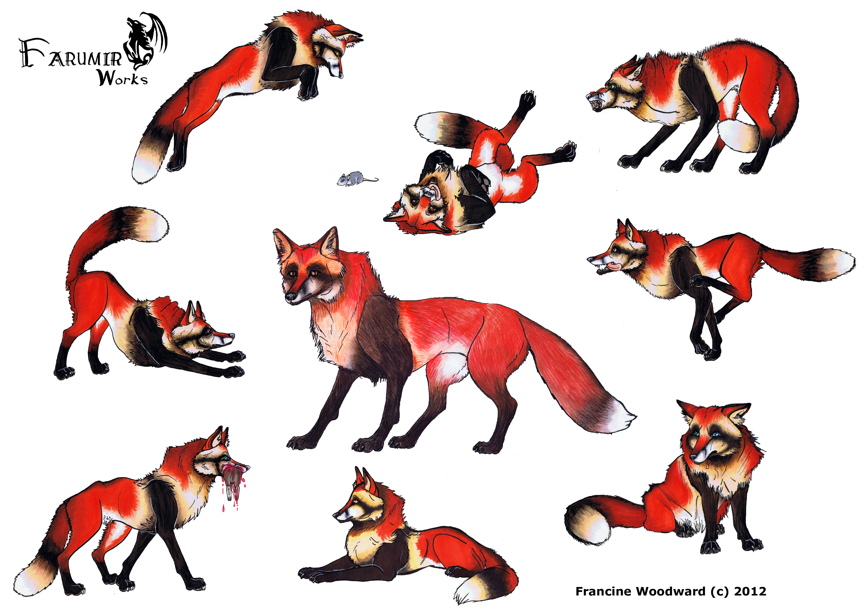 2970x2110 Collection Of Free Wolves Drawing Fox Download On Ui Ex