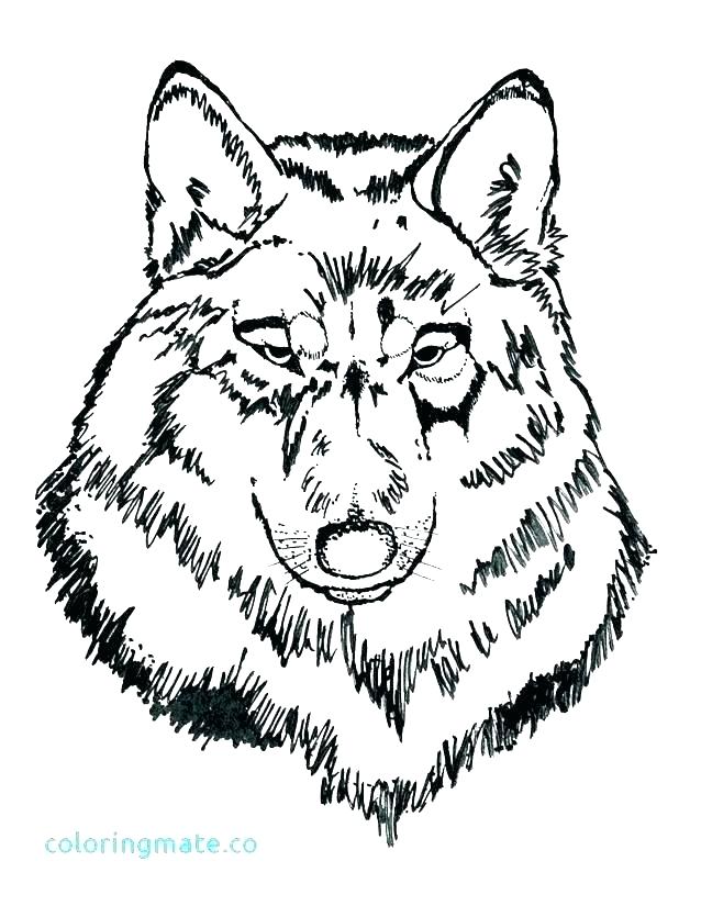 638x825 Fox Coloring Sheets Fox Coloring Pages Mandala Wolf