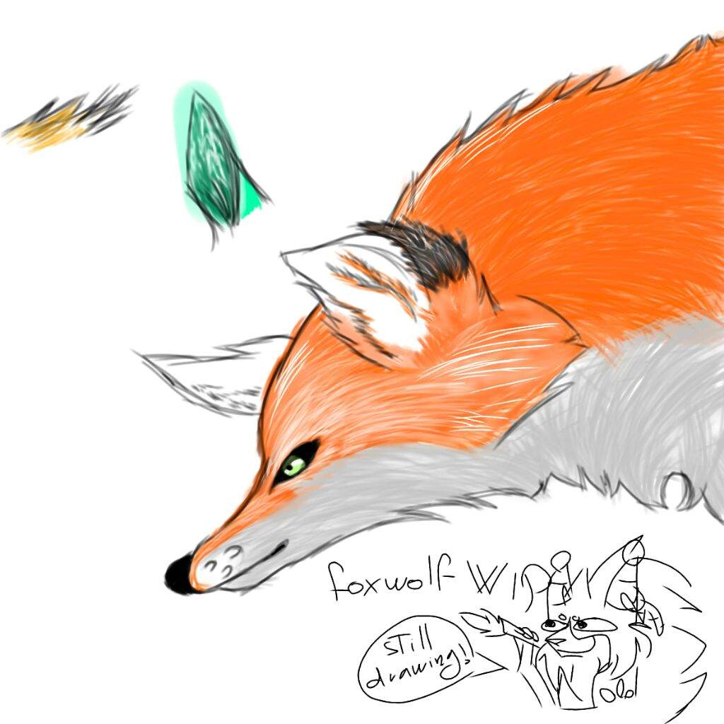 1024x1024 The Fox Wolf Furry Amino