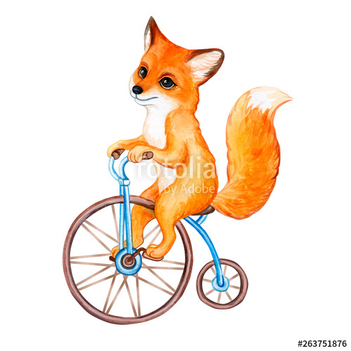 500x500 Cute Funny Fox On A Bike, On A Bicycle Animal Training Isolated
