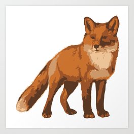 264x264 Fox Animal Art Prints
