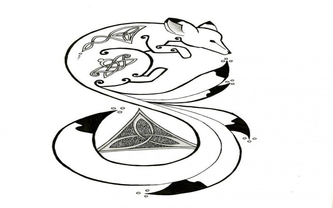 1084x678 Fox Animal Drawing Easy A Face Kit Terry Head I Fertility